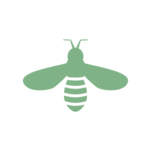 Abeille verte