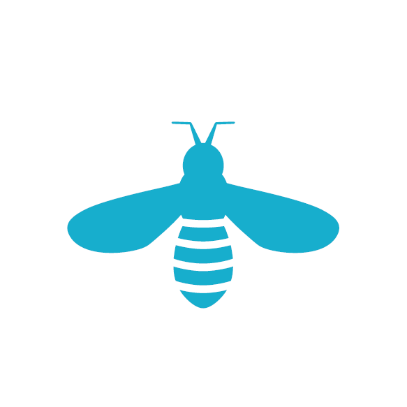 Abeille bleue