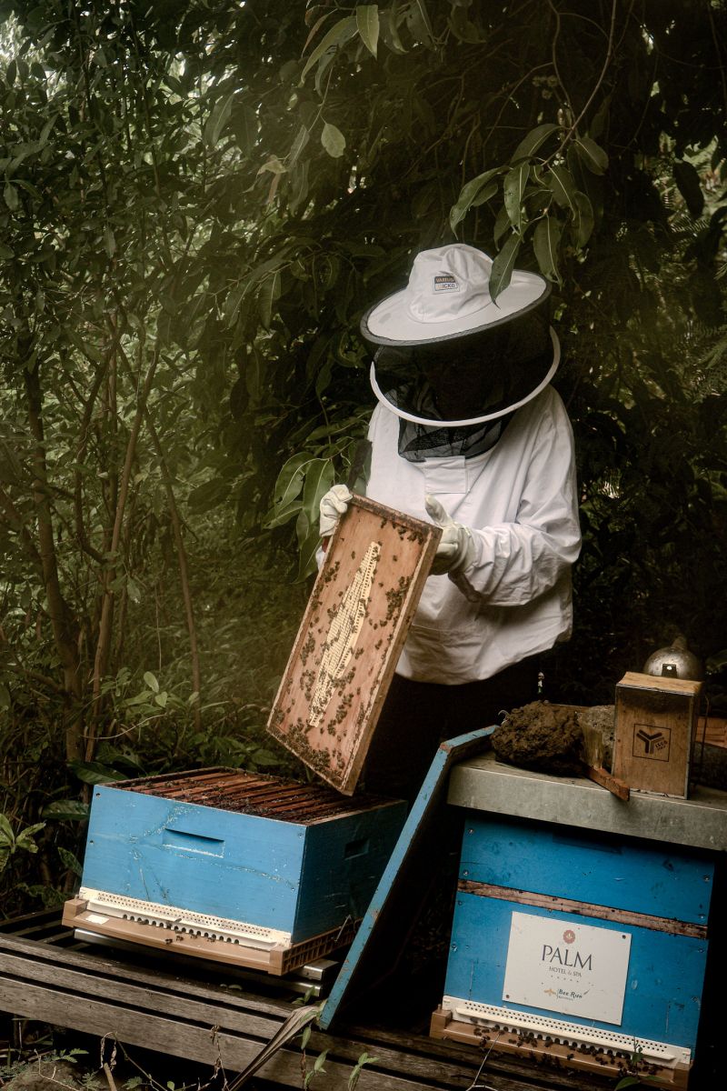 Ruche en entreprise Bee Run