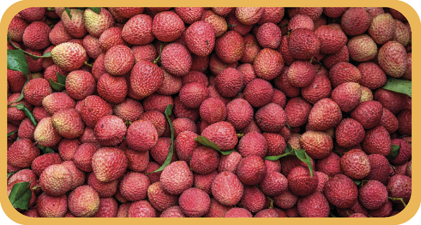 Litchis de La Réunion