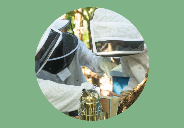 Recherche et biosurveillance Bee Green