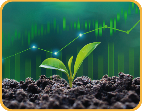 Jeune plante et courbe de croissance