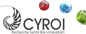 Logo CYROI (sans fond) copie