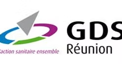 Logo GDS copie
