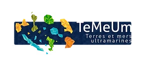 TEMEUM copie