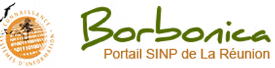 logo Borbonica copie